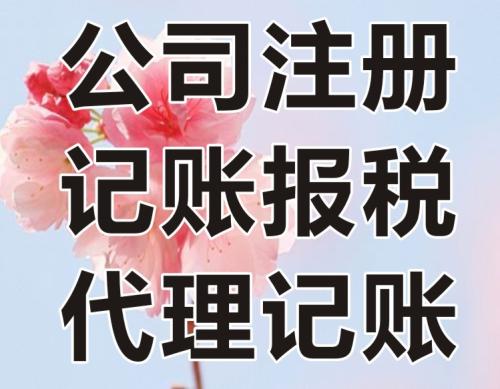 偃師財務代理記賬服務 讓信息服務業(yè)務放心可靠